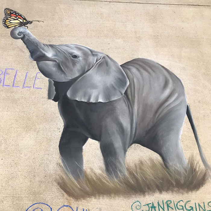 Elefante dibujado con tiza