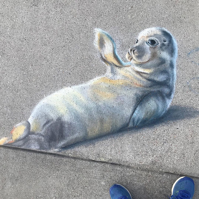 Foca dibujada con tiza