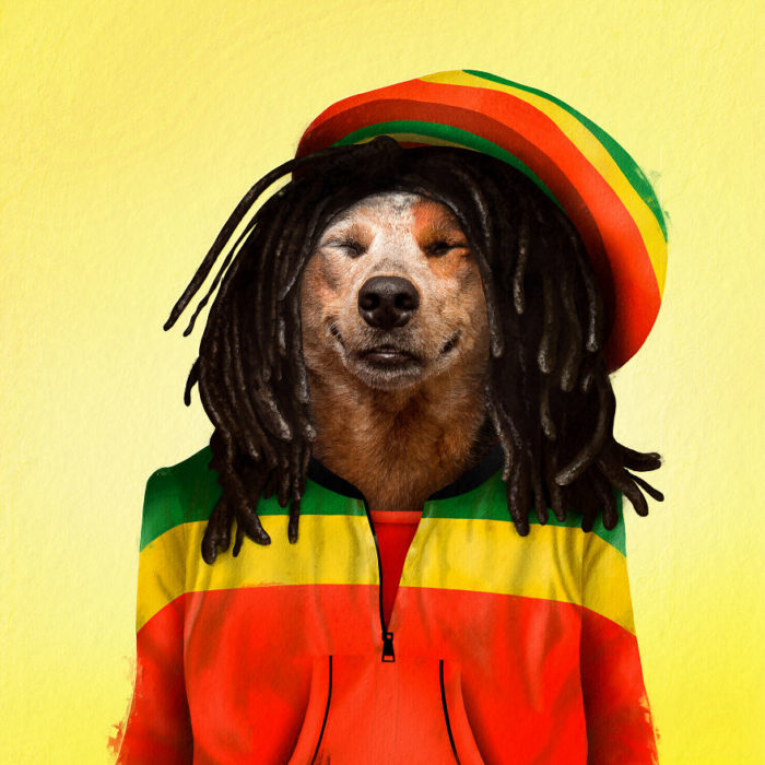 Perro disfrazado como Bob Marley