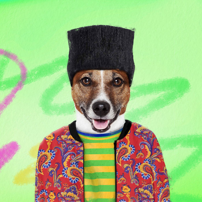Perro disfrazado como El príncipe del rap