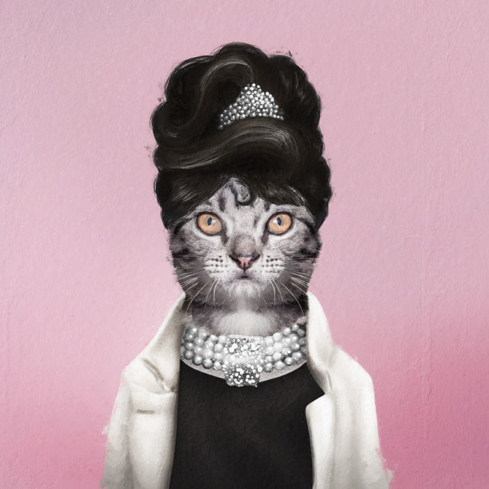 Gato blanco vestido como Audrey Hepburn