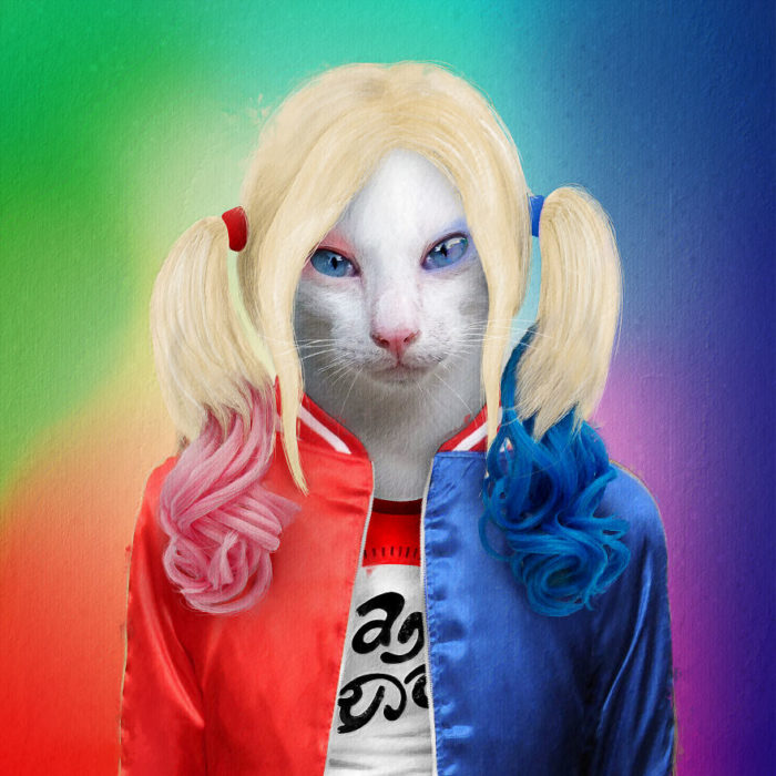 Gatita blanca vestida como Harley Quinn