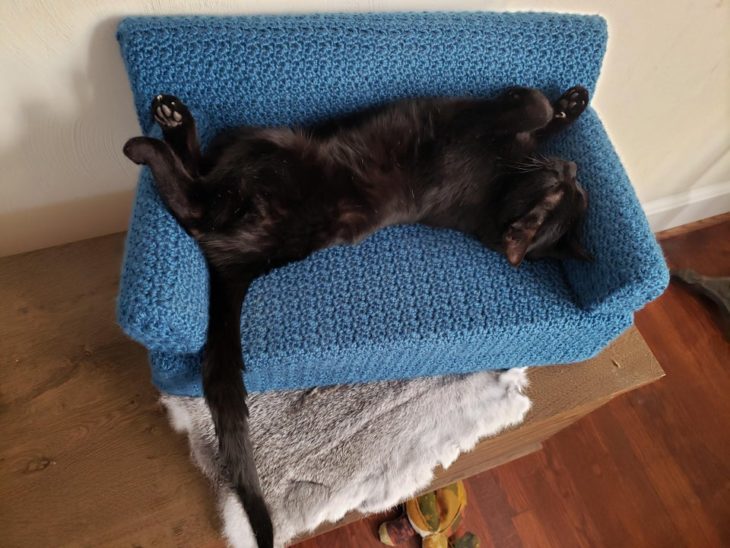 Gato negro recostado en un mini sillón azul