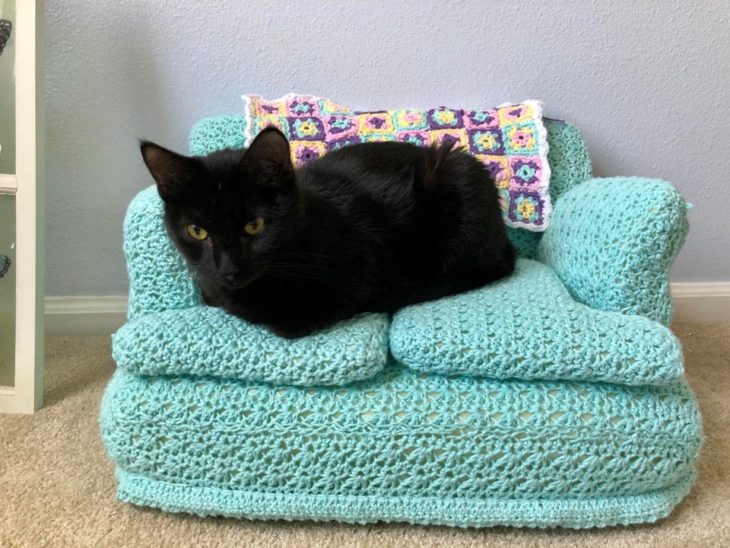 Gato negro recostado en un sillón azul