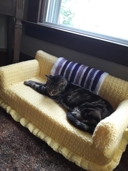 Gato rayado recostado en un pequeño sillón amarillo