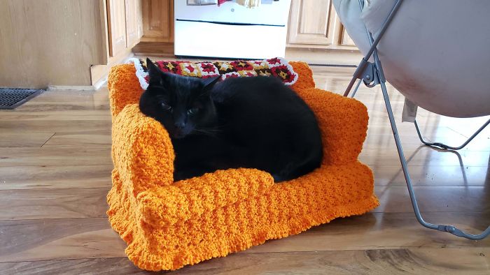 Gato negro recostado en un mini sillón anaranjado