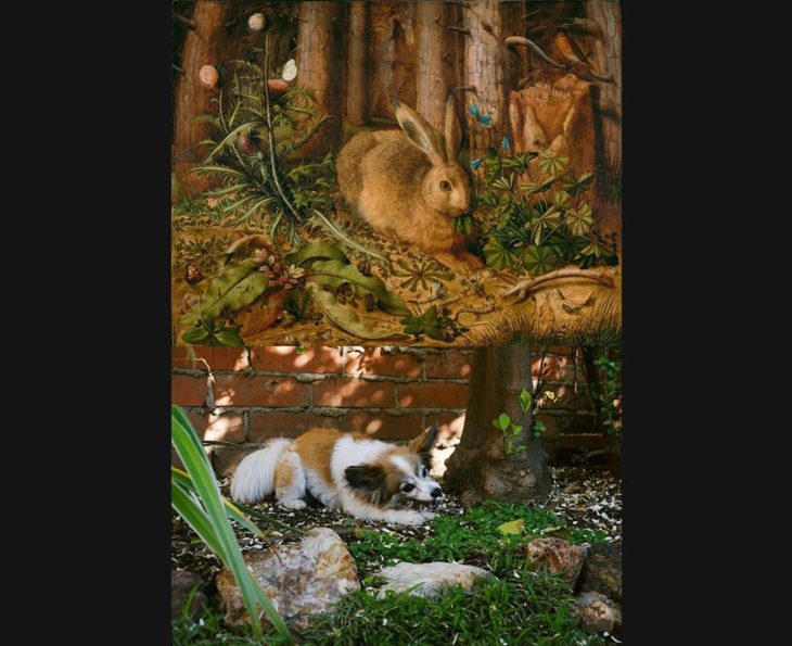 Imitación de una pintura, en lugar de una liebre es un perro