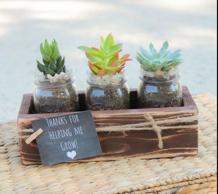 Plantitas en macetas individuales