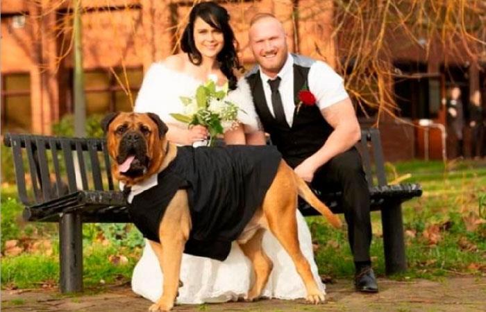 Stelle Harrisy con su esposo y su perro Bruce