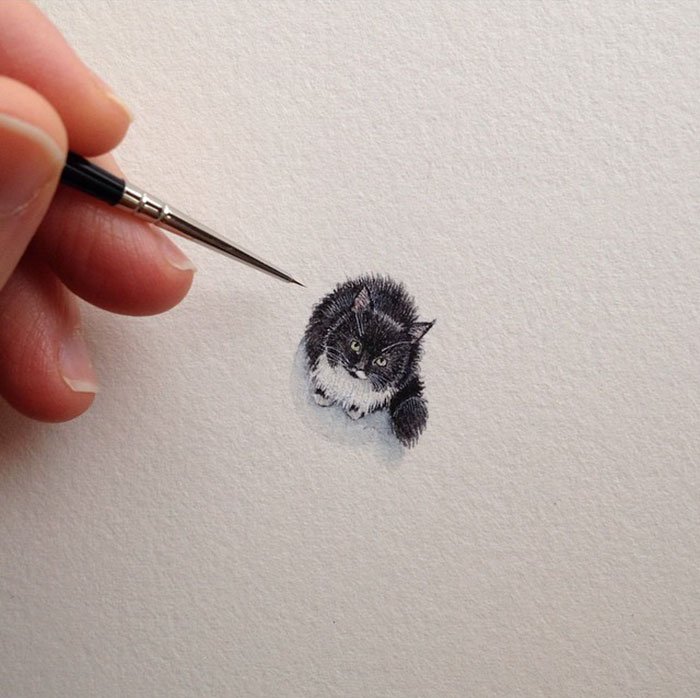 Pinturas miniatura de Brooke Rothshank