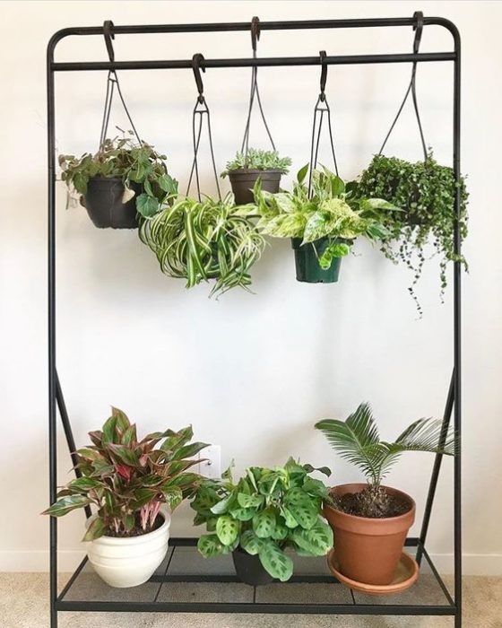 Jardín vertical para interior