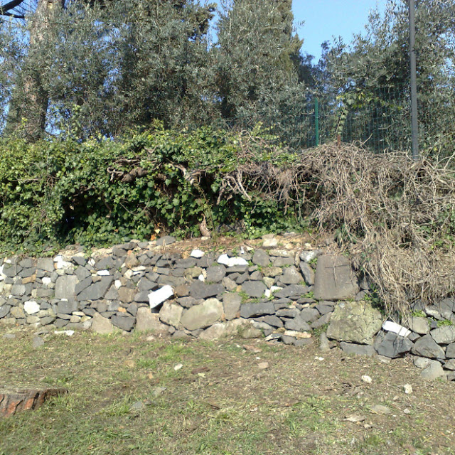 ¿Podrás encontrar al gatito en cada foto?