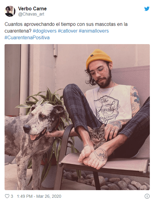 Tweets de mascotas acompañando a su dueño en la cuarentena