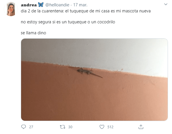 Tweets de mascotas acompañando a su dueño en la cuarentena