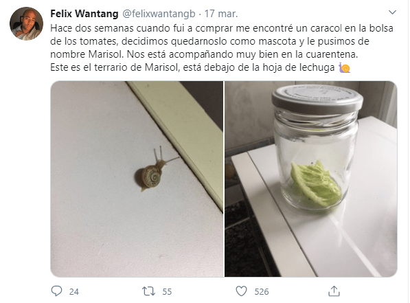 Tweets de mascotas acompañando a su dueño en la cuarentena