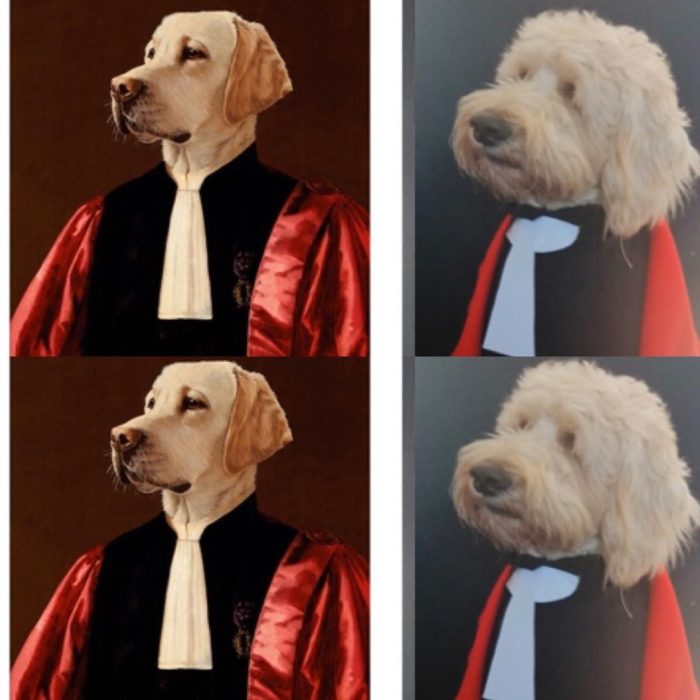 Réplique de The Advocate, de Thierry Poncelet con un perrito