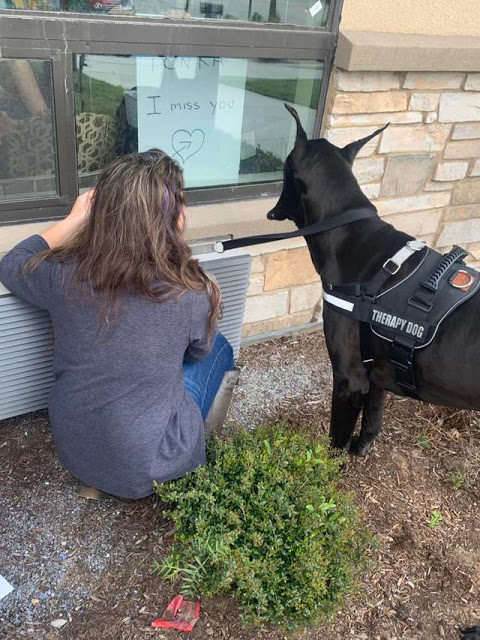 Tonka, perrita de terapia vista a ancianos