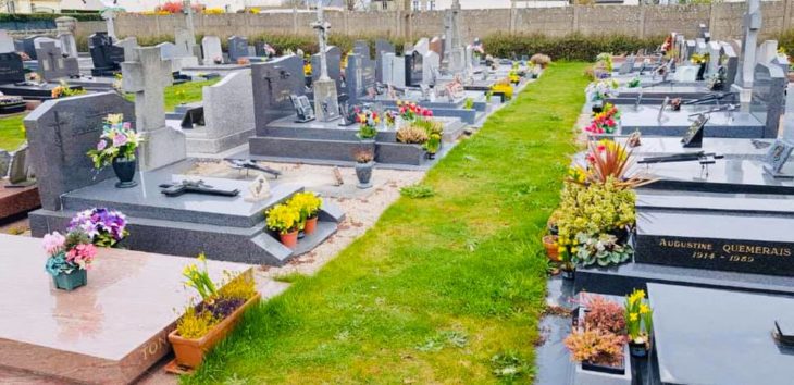 Tumbas adornadas con cientos de flores en un cementerio