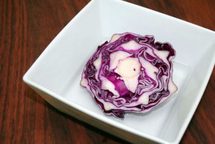 Cultivar repollo en casa