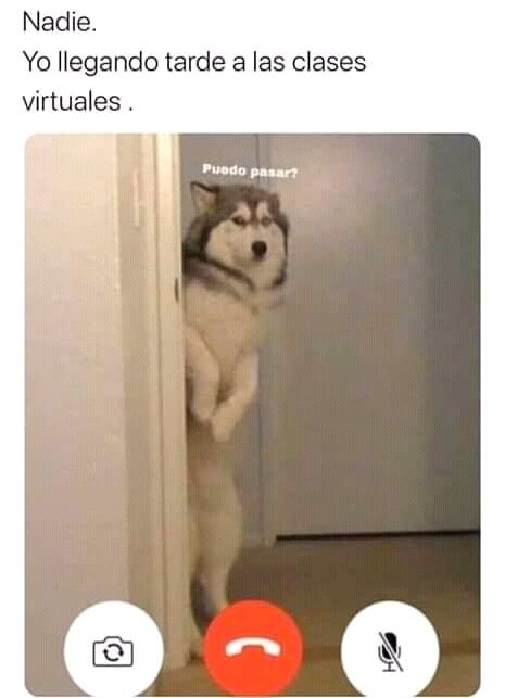 Memes para relatar la cuarentena del Covid-19
