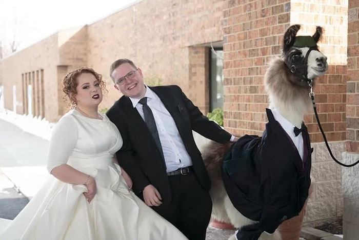 Hermanos posando junto a una llama con esmoquin el día de la boda de ella 
