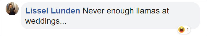 Comentarios en facebook sobre chico que llevó una llama a la boda de su hermana 
