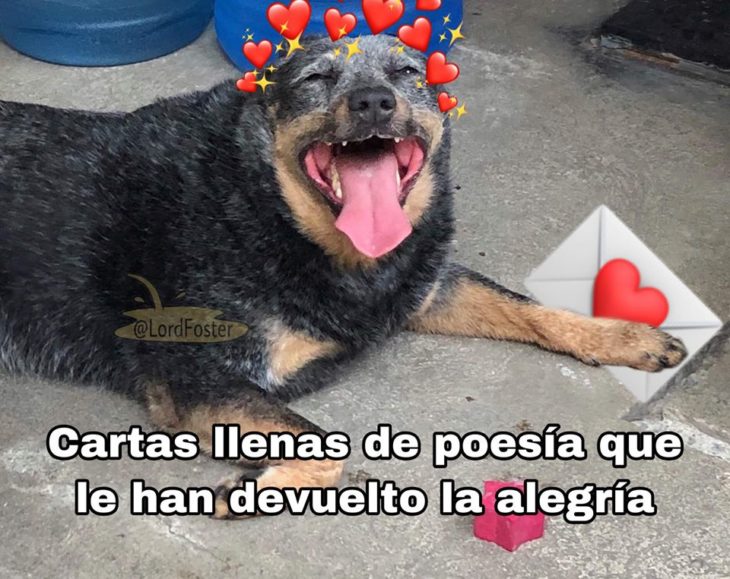 Versión de ramito de violetas cantada por perritos