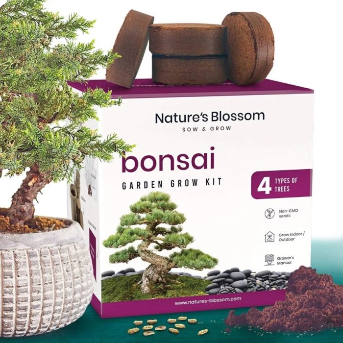 Kit para cultivar 4 tipos de bonsái diferentes