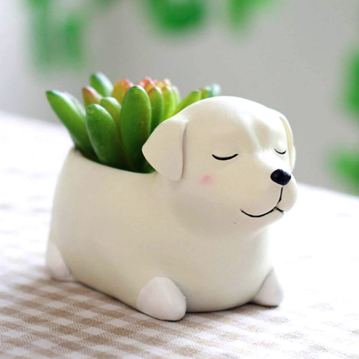 Macetas adorables y originales de animales; perro blanco