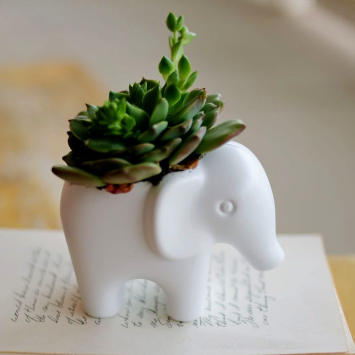 Macetas adorables y originales de animales; elefante