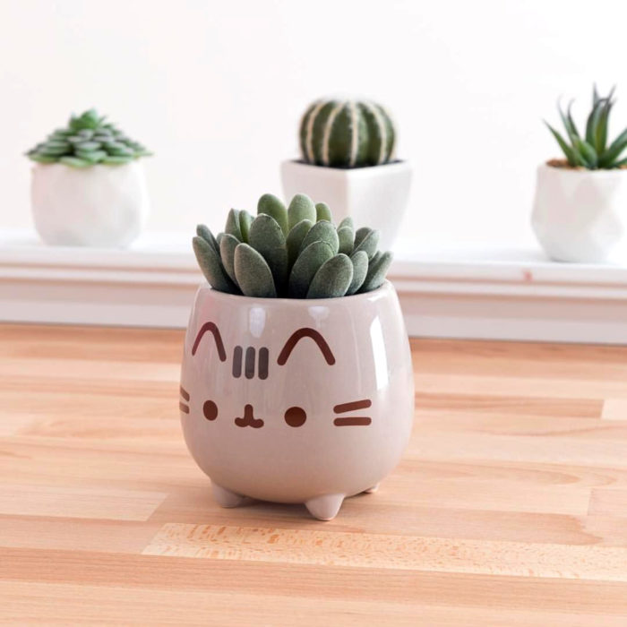 Macetas adorables y originales de animales; gato Pusheen