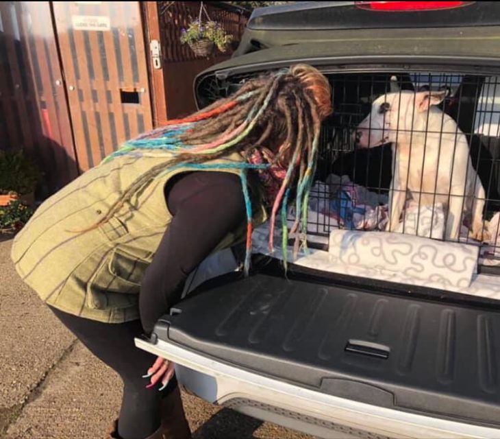 Liz llevando a un nuevo integrante al refugio de BedForBullies