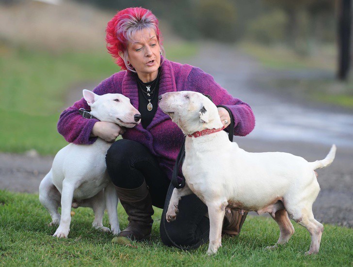 Liz con dos de los bulldogs del refugio