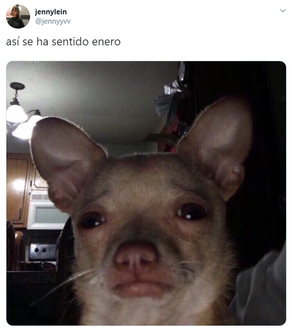 memes que describen el tiempo que ha durado el mes de enero