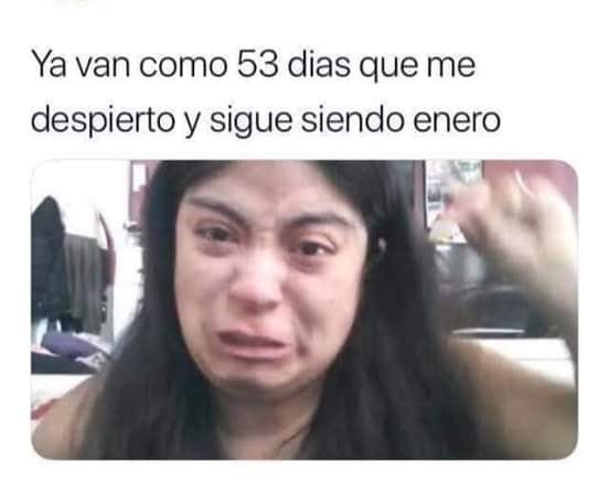 memes que describen el tiempo que ha durado el mes de enero