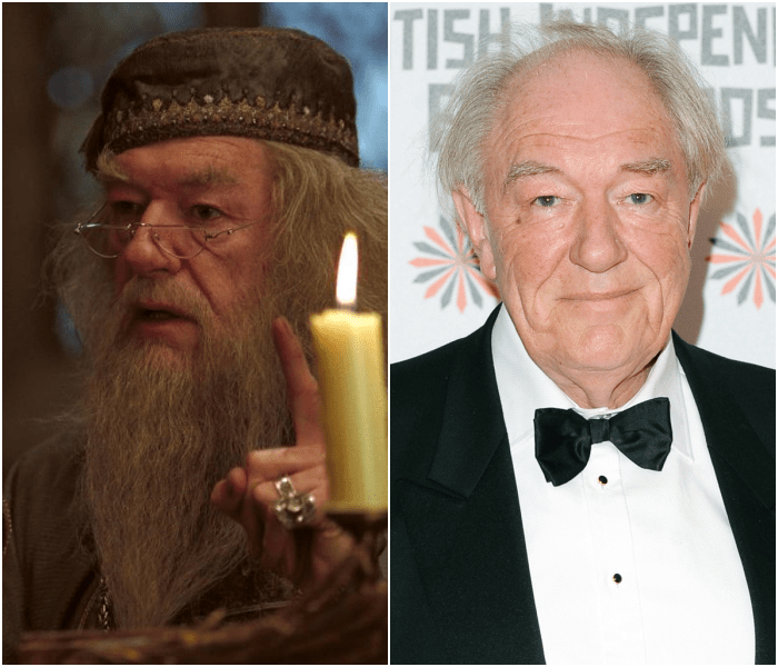 Michael Gambon como Albus Dumbledore