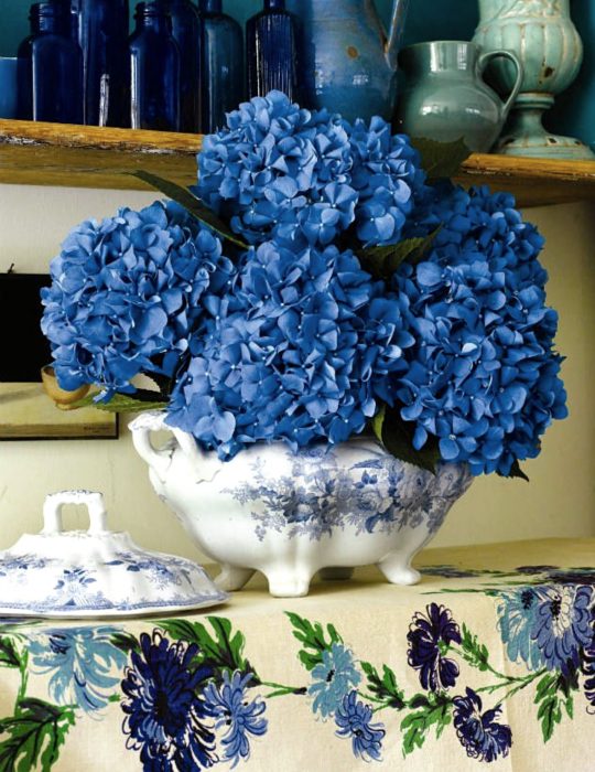 Pantone elige el classic blue como el color del 2020; flores azul clásico, hortensias en florero, azucarero