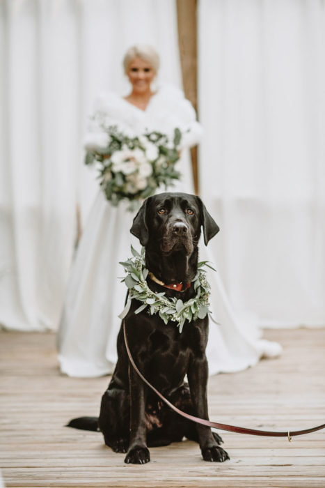 Novia parada detrás de su perro esperando a que él la mire