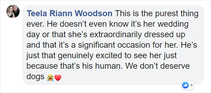 Comentarios en Facebook sobre una mujer que hizo sesión de fotos con su mascota