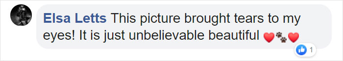 Comentarios en Facebook sobre una mujer que hizo sesión de fotos con su mascota