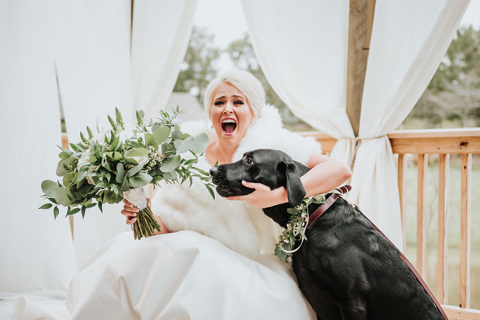 Perrito mirando con amor a su dueña vestida de novia