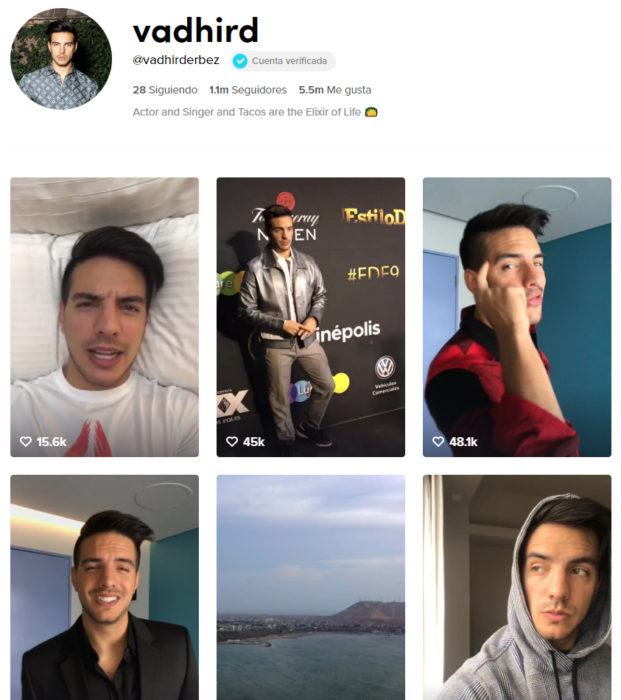Página de TikTok de Vadhir Derbez