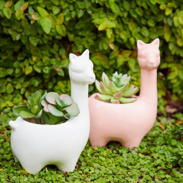 Macetas adorables y originales de animales; llamas