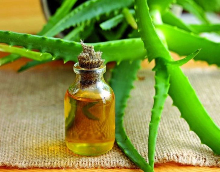 Mascarilla de aloe vera y aceite de oliva
