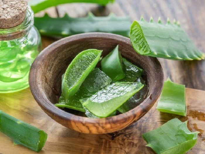 Gel de la planta de aloe vera
