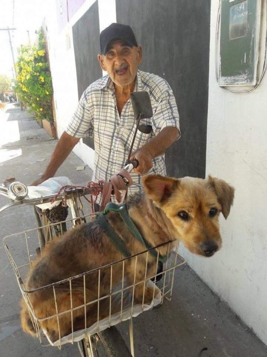 Hombre transportando a su perrito en una canastilla de su bicicleta