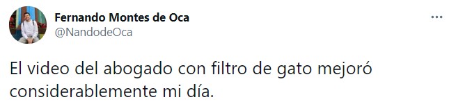 Tuit sobre abogado que quedó atrapado en un filtro de Zoom durante una audiencia