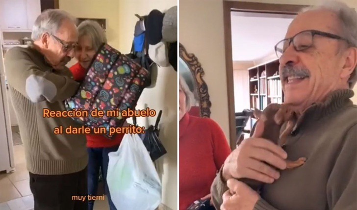 Sorprenden a abuelito con cachorro tiktok