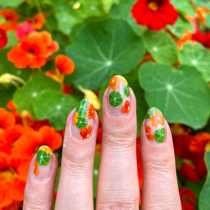 Manicura de flores; uñas con diseño de flor capuchina, tropaeolum anaranjadas 