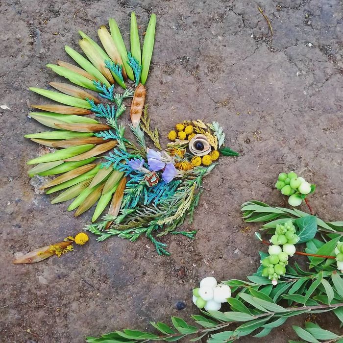 Hannah Bullen-Ryner retratos de aves con hojas
